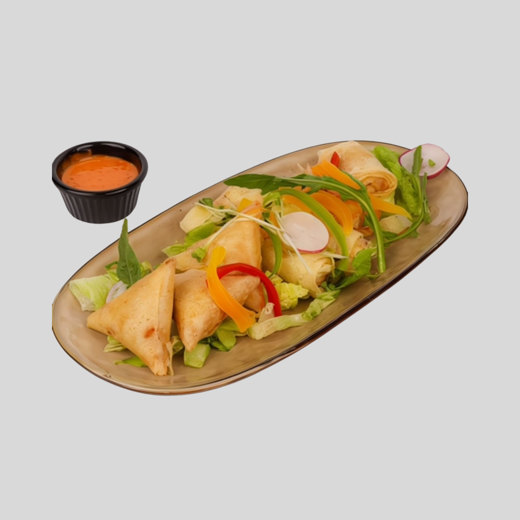 Lot Samossa Poulet